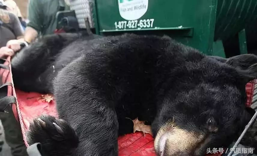 朋友圈里卖低价服装的真相,朋友圈代购真实案例