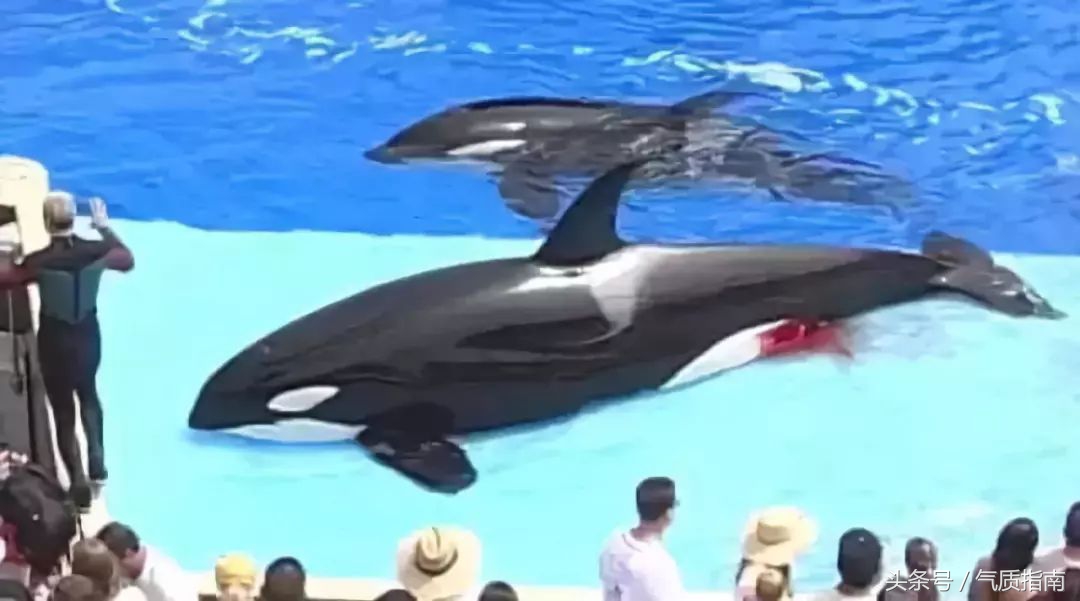 朋友圈里卖低价服装的真相,朋友圈代购真实案例