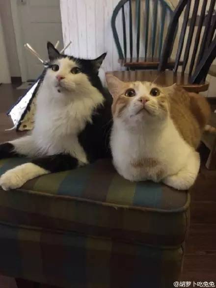 走到流浪的尽头，落入你的温暖怀抱