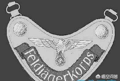 二战时德国兵胸前的铁牌,二战德国部队闪电标志