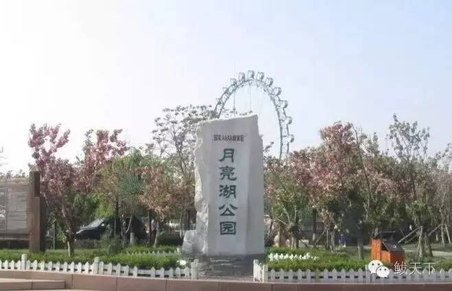 鲅鱼圈区旅游攻略,鲅鱼圈旅游攻略推荐
