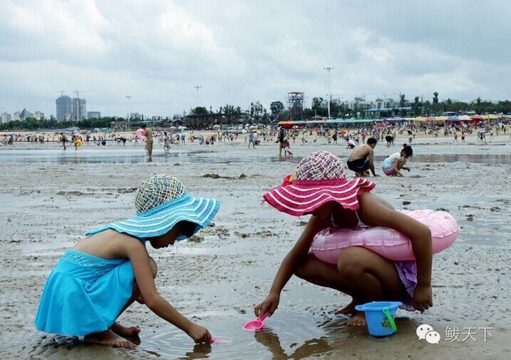 鲅鱼圈区旅游攻略,鲅鱼圈旅游攻略推荐