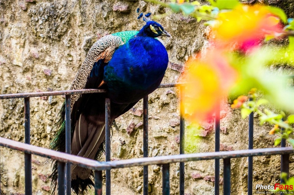 浣宠兘鐩告満dc,杩戞湡浣宠兘鐩告満鎺ㄨ崘