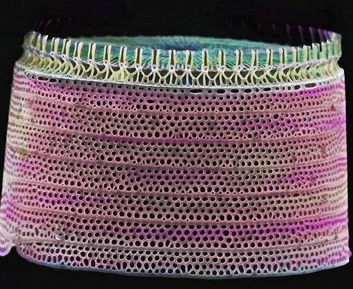 硅藻泥做好了可以重新做乳胶漆吗,硅藻泥现在为啥没人做了