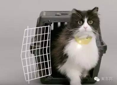 代客网,戴客官网