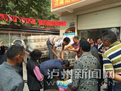 泸县吉祥村,吉祥村村委书记