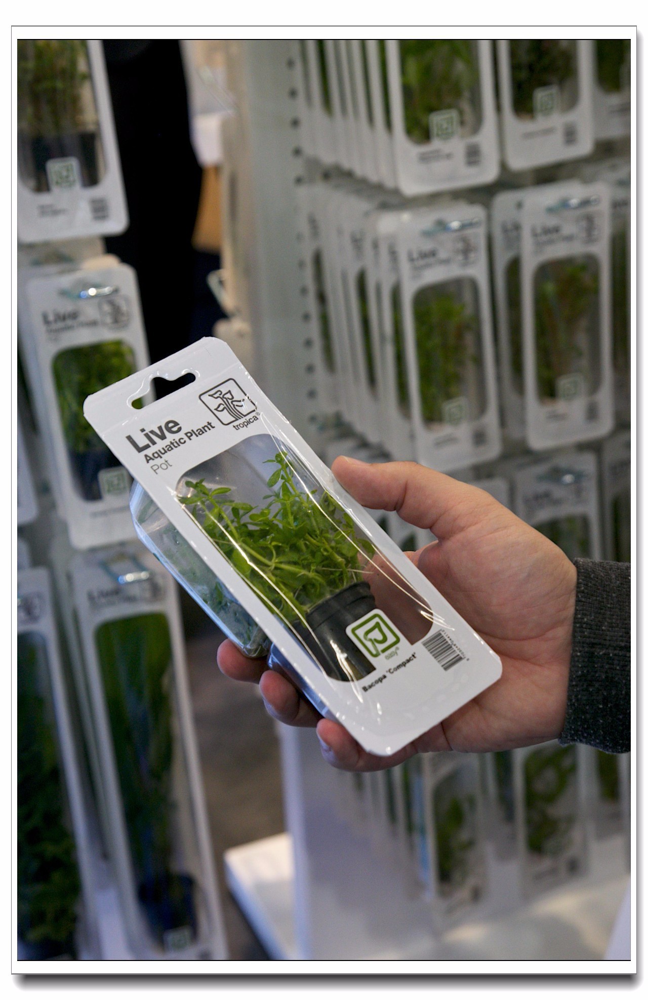 德国纽伦堡宠物展,2018德国纽伦堡宠物展