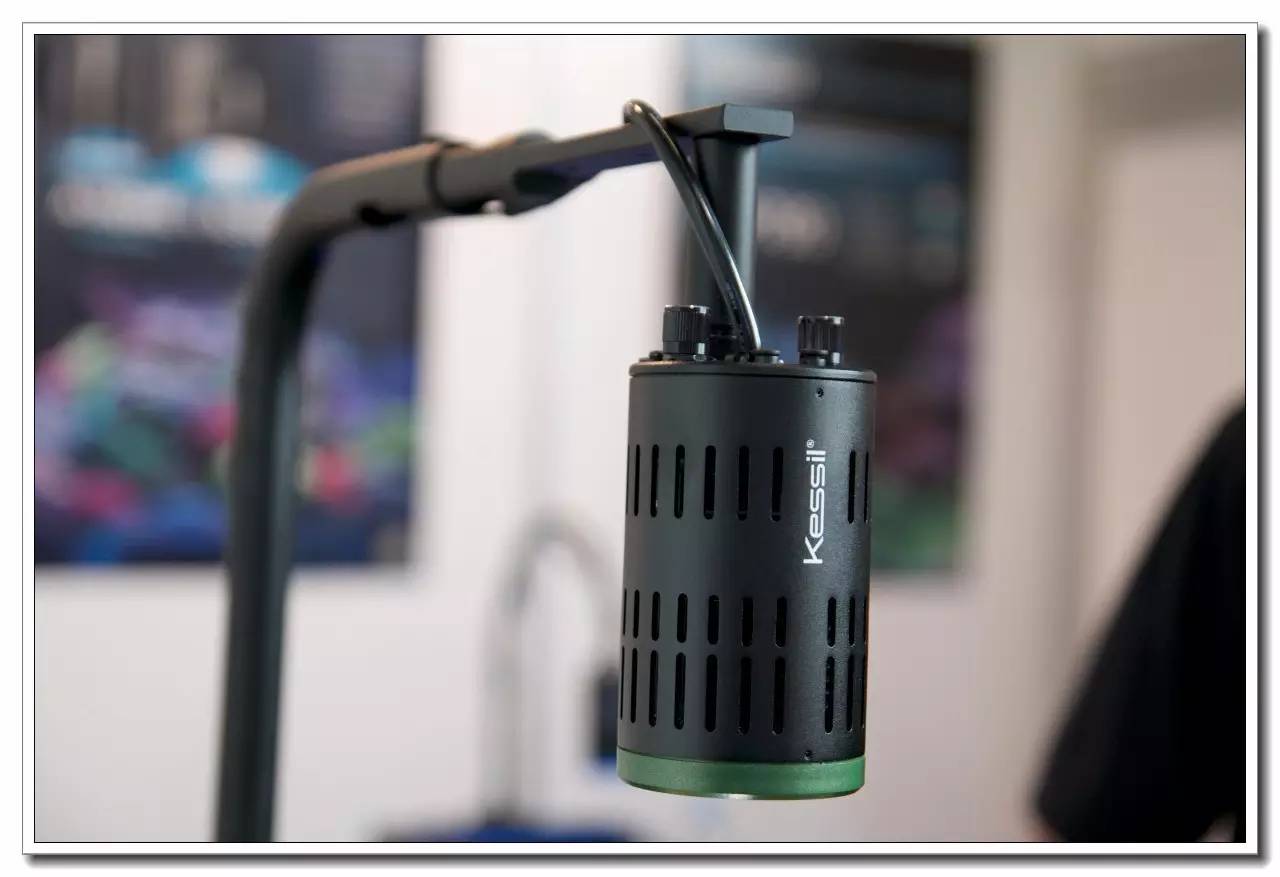 德国纽伦堡宠物展,2018德国纽伦堡宠物展