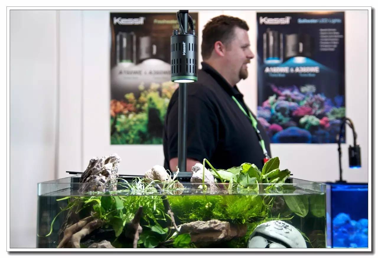 德国纽伦堡宠物展,2018德国纽伦堡宠物展