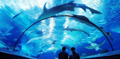 电子圈的父母六一带孩子去哪儿？