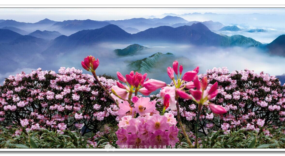 莽山国家森林公园自驾上山,莽山端午节