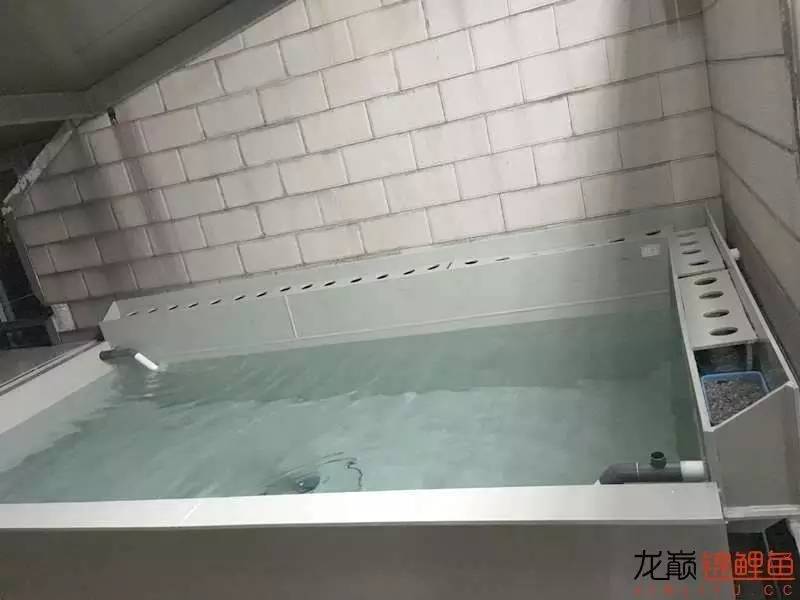 大型pp塑料锦鲤池,超大pp塑料锦鲤池