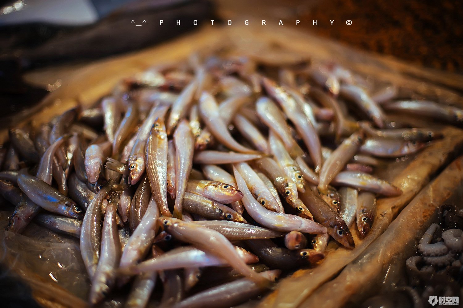 吃货美食分享海口,好吃的海鲜一日游