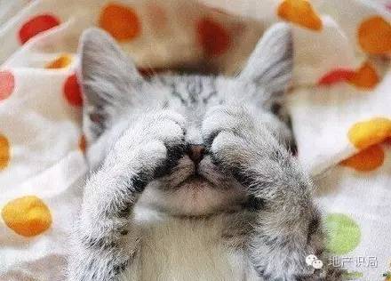 命苦的人在哪里都是苦命,南京最边缘的区