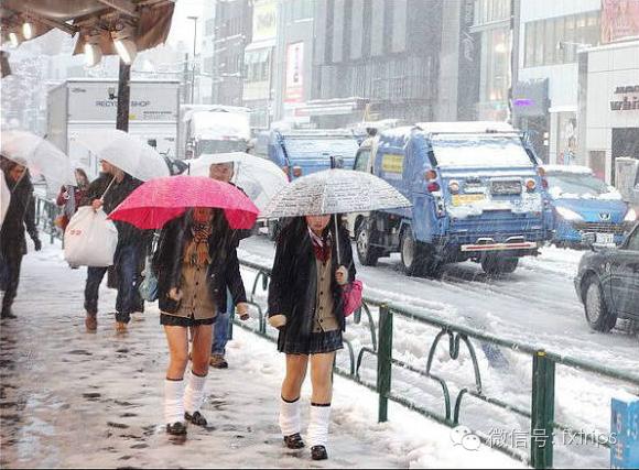 日本女生为了变美有多拼命,日本女人一天都在干什么