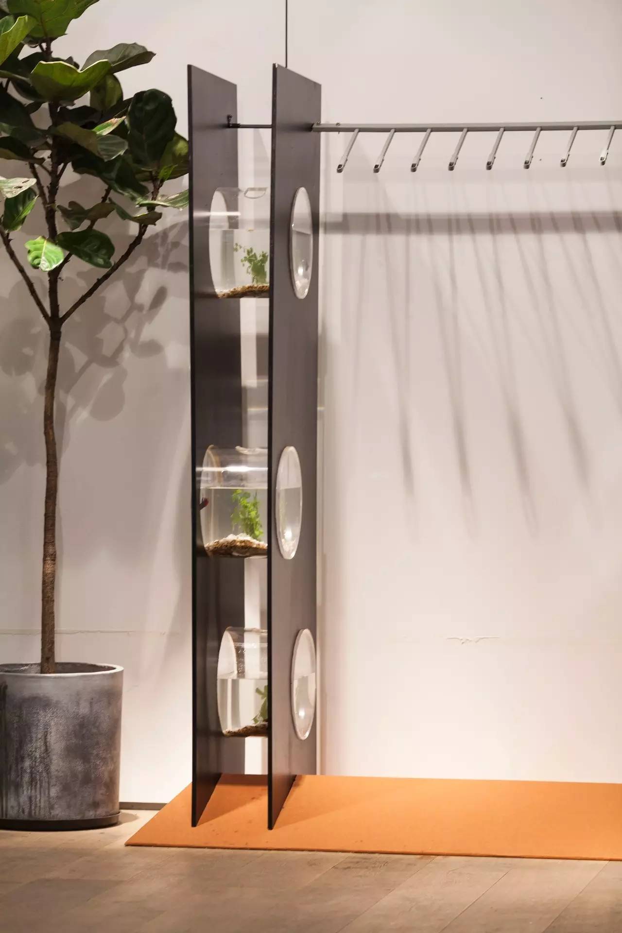 小时候看起来很乖长大后很壮,小时候看得很幼稚长大后才明白