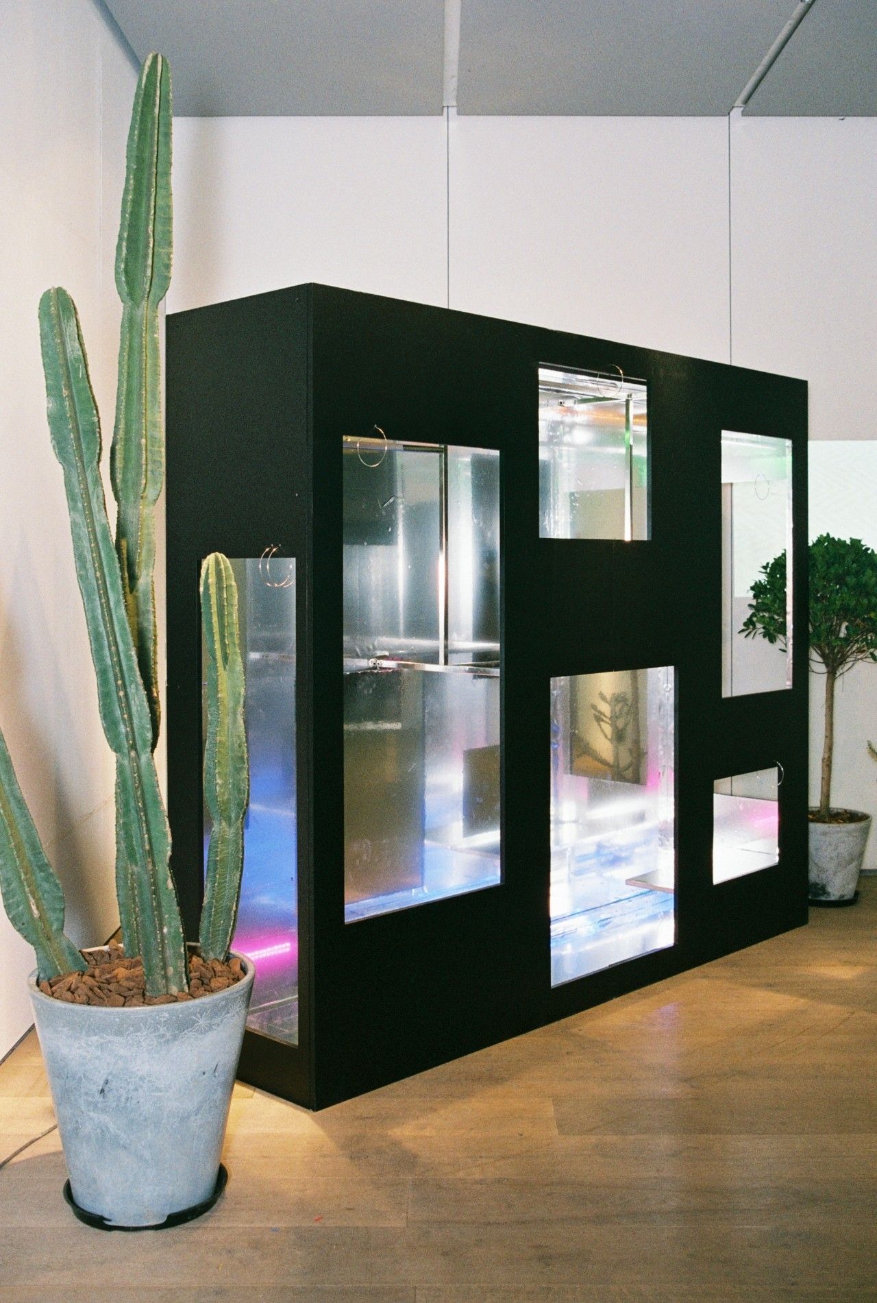 小时候看起来很乖长大后很壮,小时候看得很幼稚长大后才明白