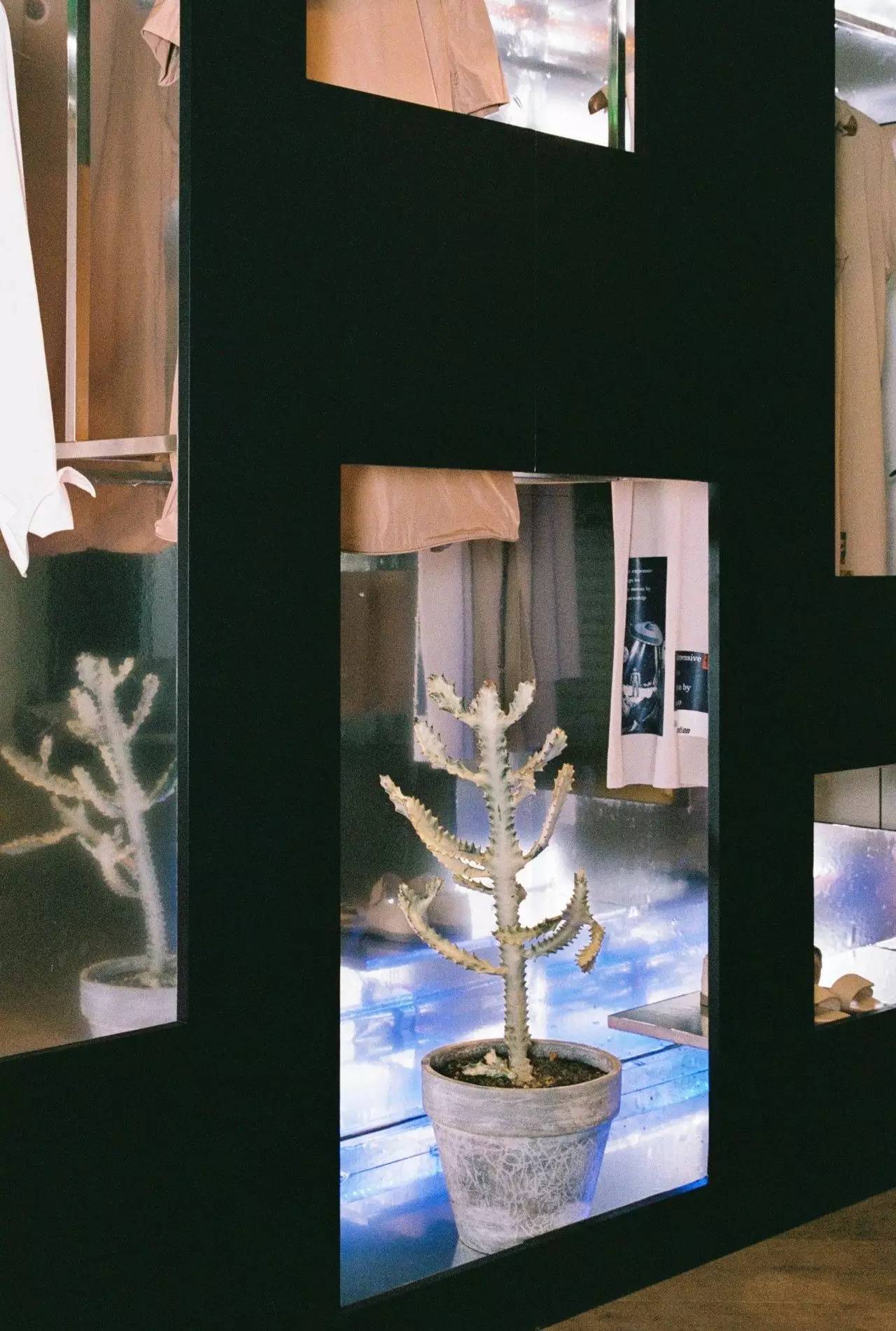 小时候看起来很乖长大后很壮,小时候看得很幼稚长大后才明白