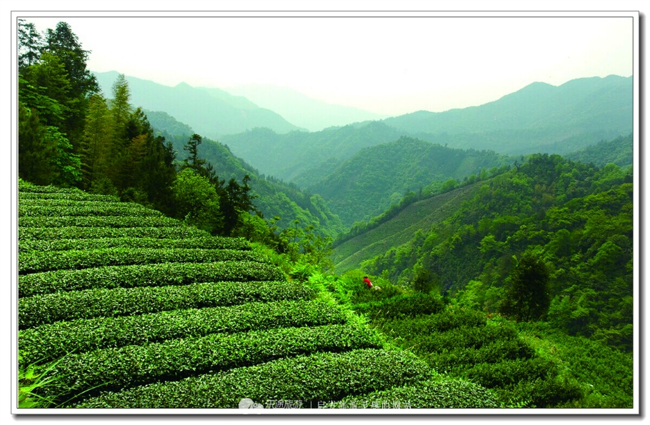 莽山国家森林公园自驾上山,莽山端午节