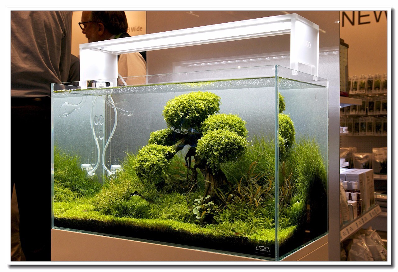 德国纽伦堡宠物展,2018德国纽伦堡宠物展