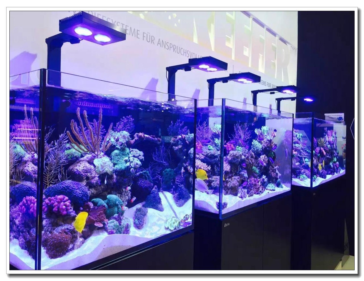 德国纽伦堡宠物展,2018德国纽伦堡宠物展