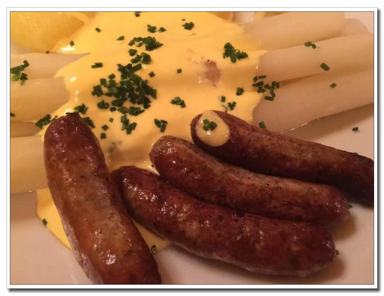 德国纽伦堡宠物展,2018德国纽伦堡宠物展