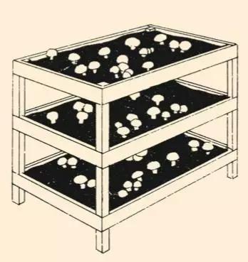 全球概览,怎样带人们通往“想去的地方”