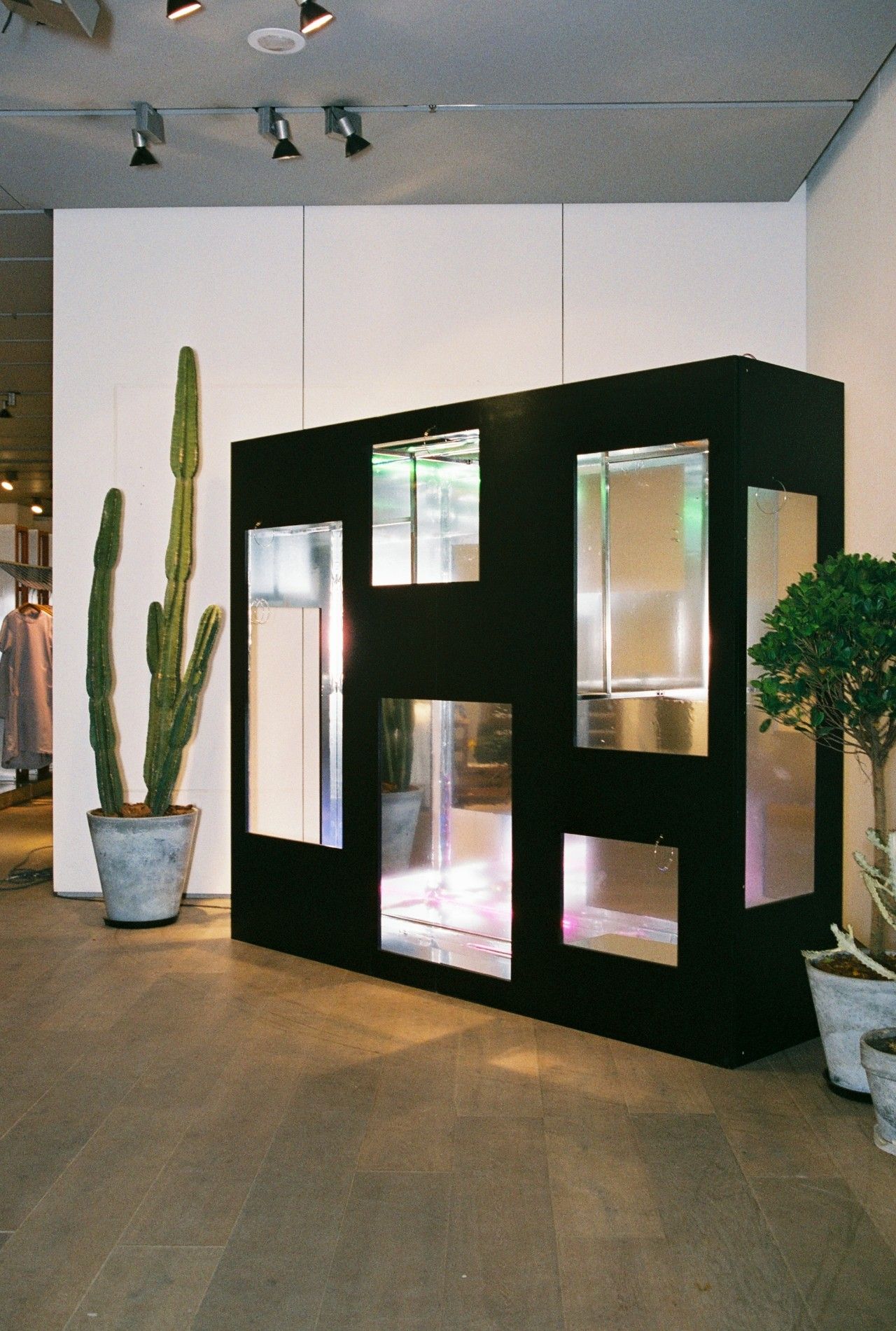 小时候看起来很乖长大后很壮,小时候看得很幼稚长大后才明白