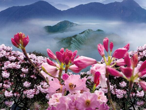 莽山国家森林公园自驾上山,莽山端午节