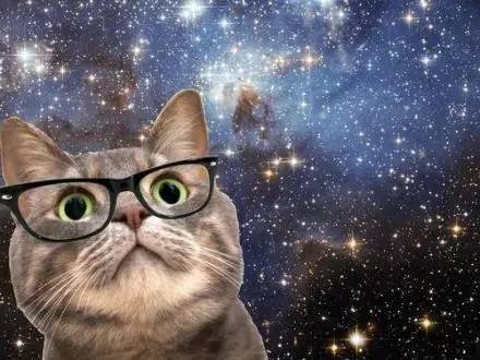 好耍|喵星人大摆造型带你玩转青白江，不萌你来找我！