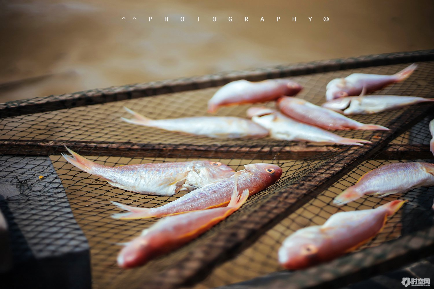 吃货美食分享海口,好吃的海鲜一日游