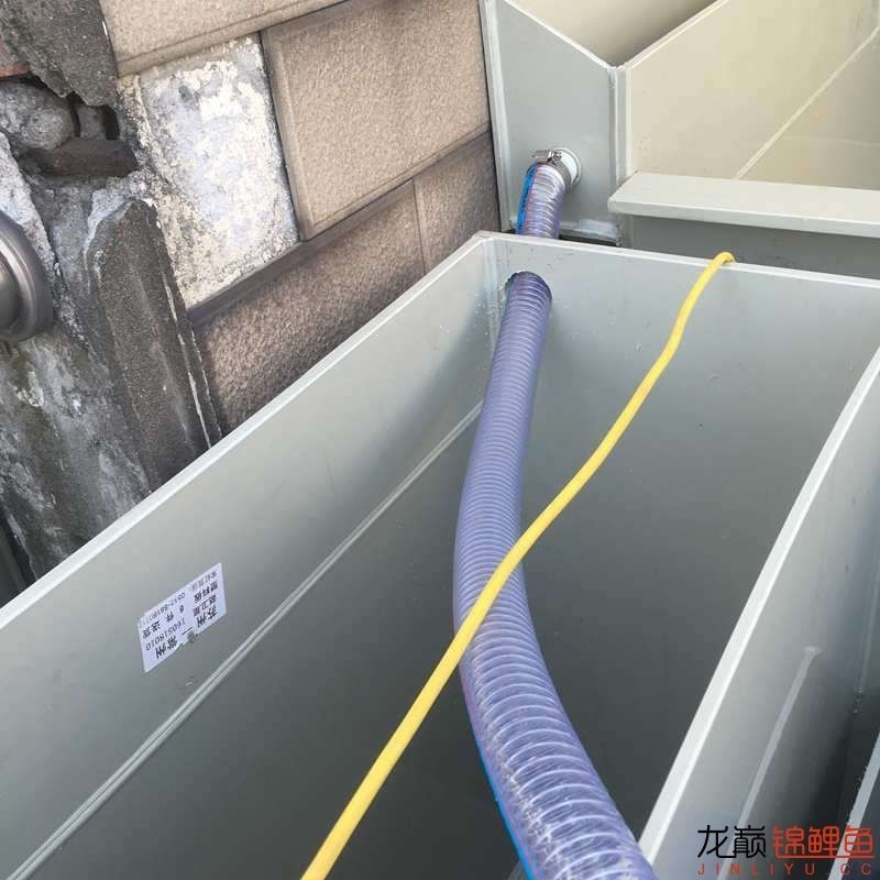 大型pp塑料锦鲤池,超大pp塑料锦鲤池