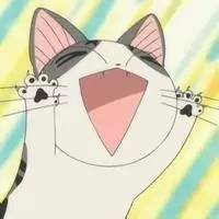 好耍|喵星人大摆造型带你玩转青白江，不萌你来找我！