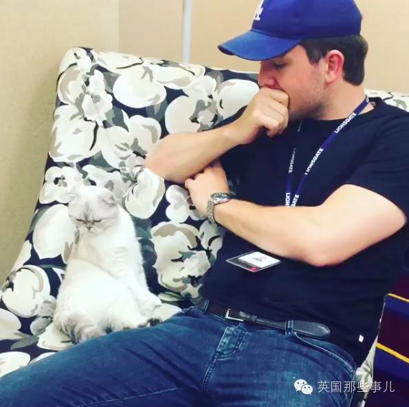 霉霉和她的猫咪,霉霉两只猫叫什么名字