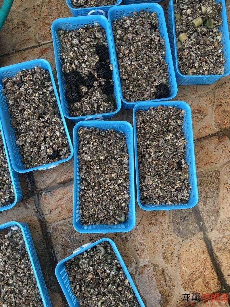 大型pp塑料锦鲤池,超大pp塑料锦鲤池