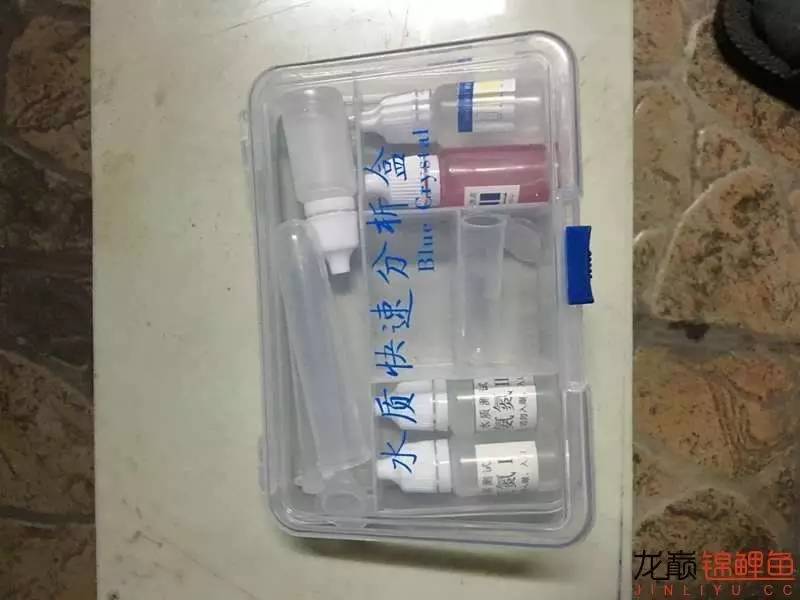 大型pp塑料锦鲤池,超大pp塑料锦鲤池