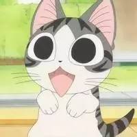 好耍|喵星人大摆造型带你玩转青白江，不萌你来找我！