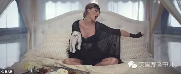 霉霉和她的猫咪,霉霉两只猫叫什么名字