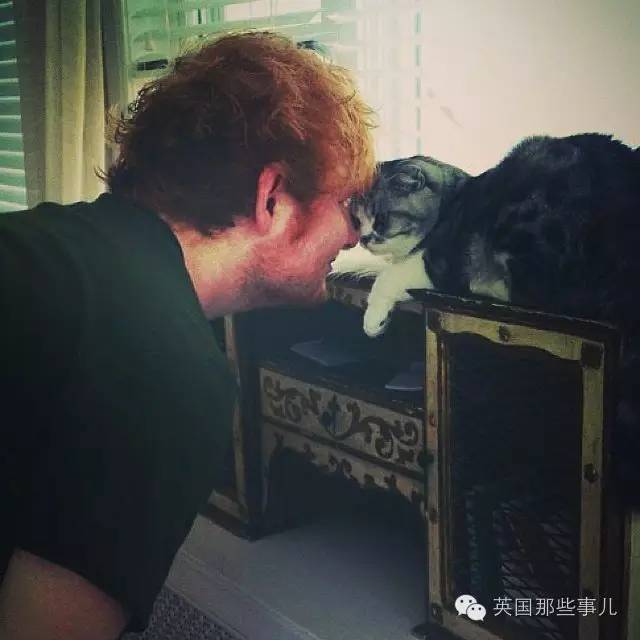 霉霉和她的猫咪,霉霉两只猫叫什么名字