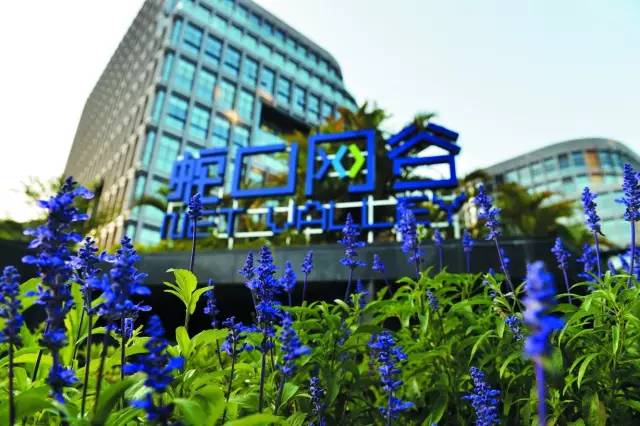 鏅烘収鍥尯鍒涙柊,鏅烘収鍥尯鐨勬櫤鎱т綋鐜板湪鍝噷