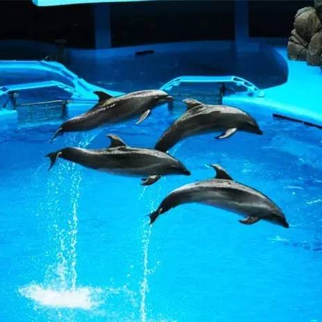 出行青岛攻略,青岛旺季住宿攻略