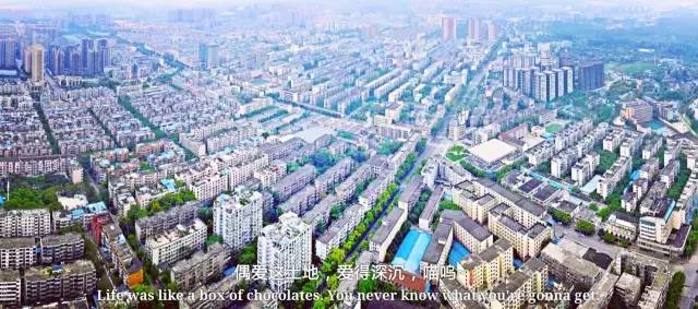 好耍|喵星人大摆造型带你玩转青白江，不萌你来找我！