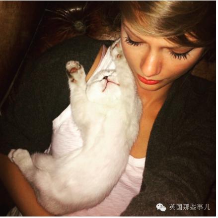 霉霉和她的猫咪,霉霉两只猫叫什么名字