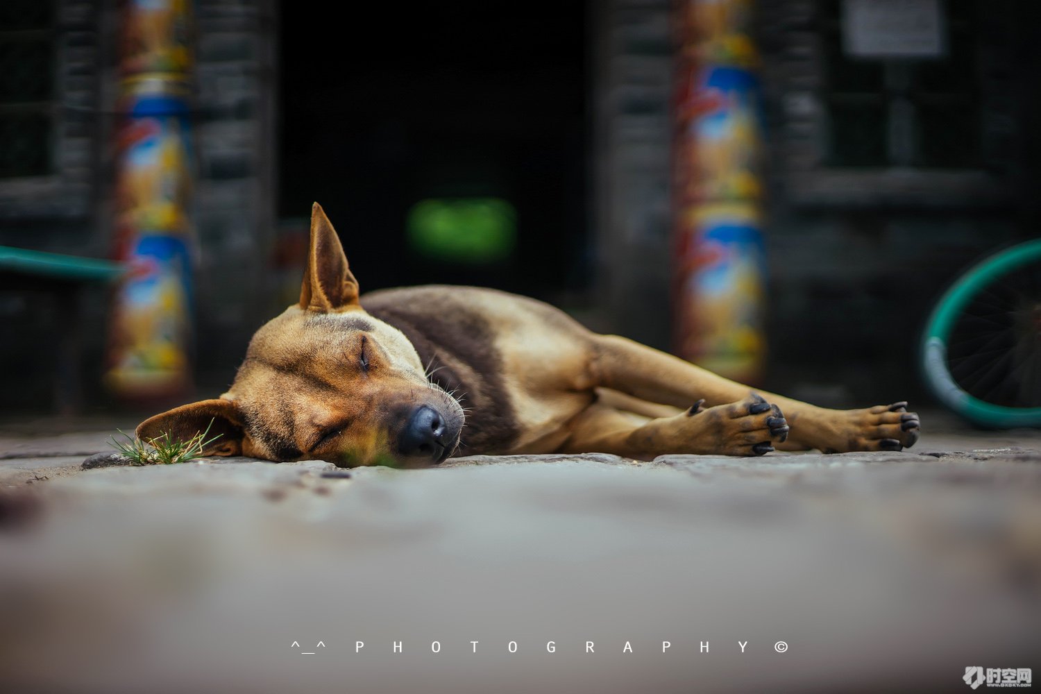 吃货美食分享海口,好吃的海鲜一日游