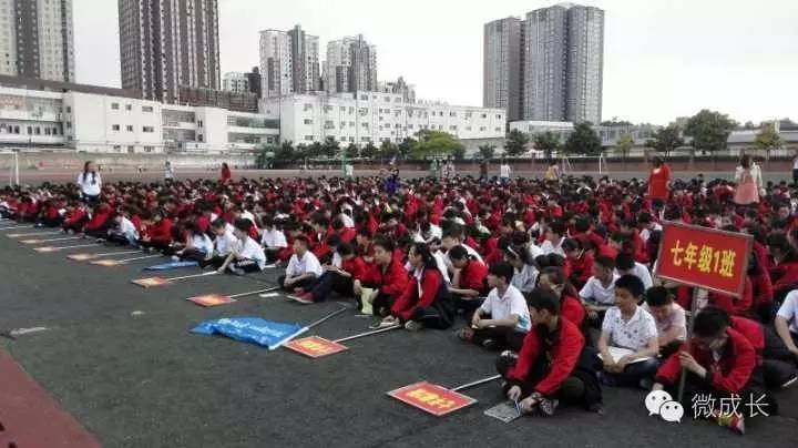 校园新闻最新,最新校园报道视频