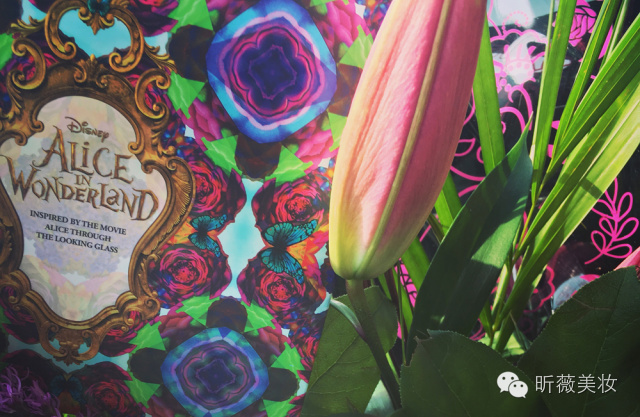 wonderland爱丽丝,爱丽丝奇幻世界