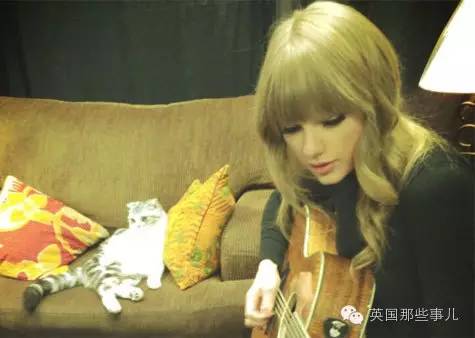 霉霉和她的猫咪,霉霉两只猫叫什么名字