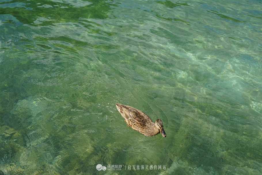 安纳西在法国的位置,安纳西在哪里