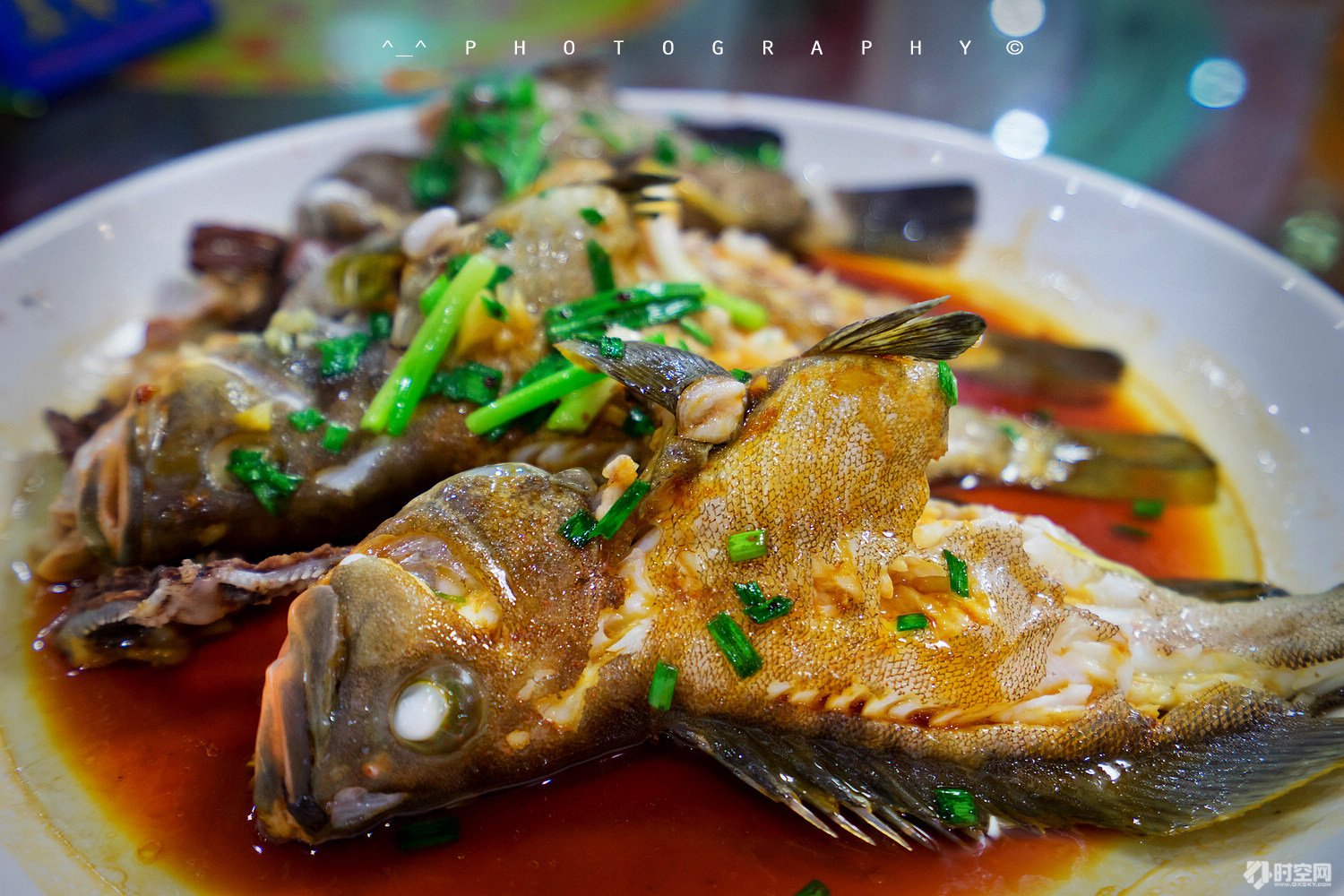 吃货美食分享海口,好吃的海鲜一日游