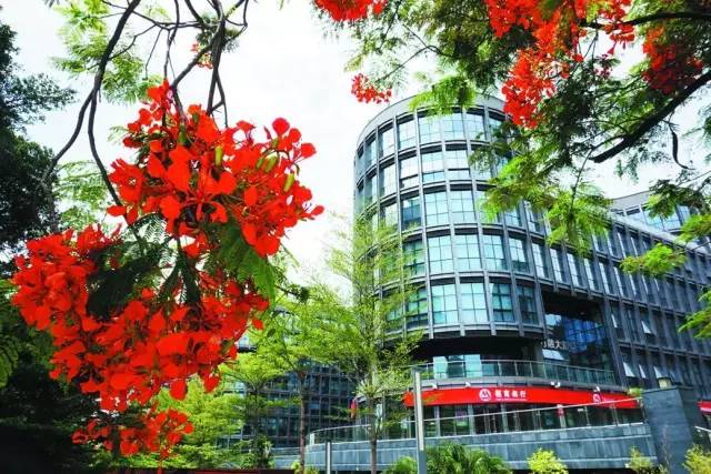 鏅烘収鍥尯鍒涙柊,鏅烘収鍥尯鐨勬櫤鎱т綋鐜板湪鍝噷